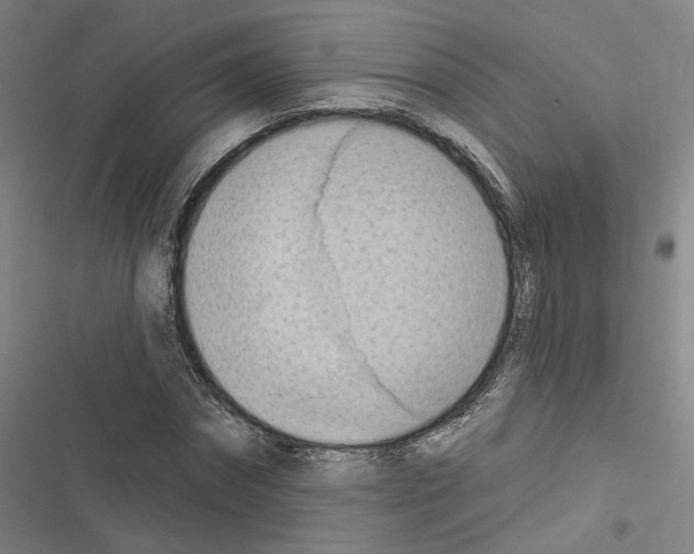 X0000116510874201001201443