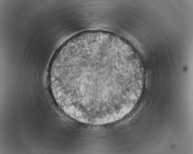 X0000116510876201001201443