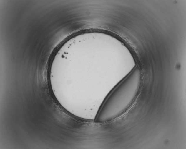 X0000116510877201001201443