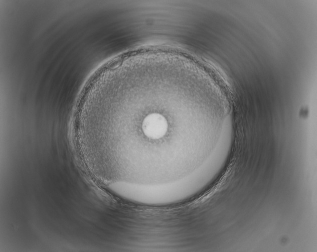 X0000116510880201001201443