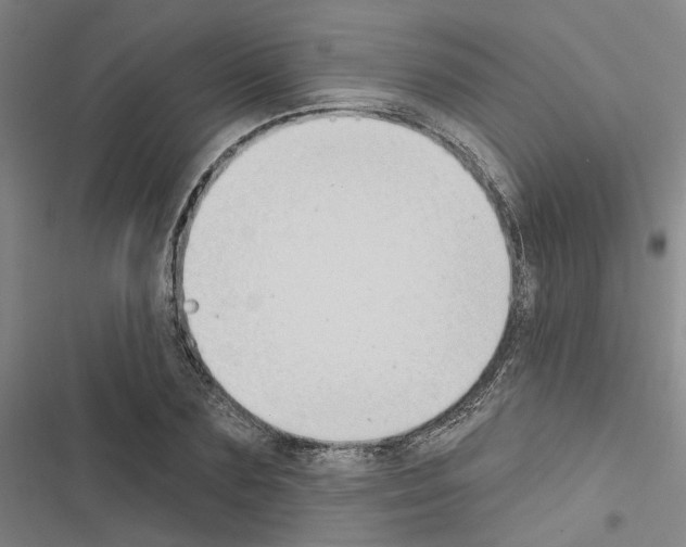 X0000116510883201001201443