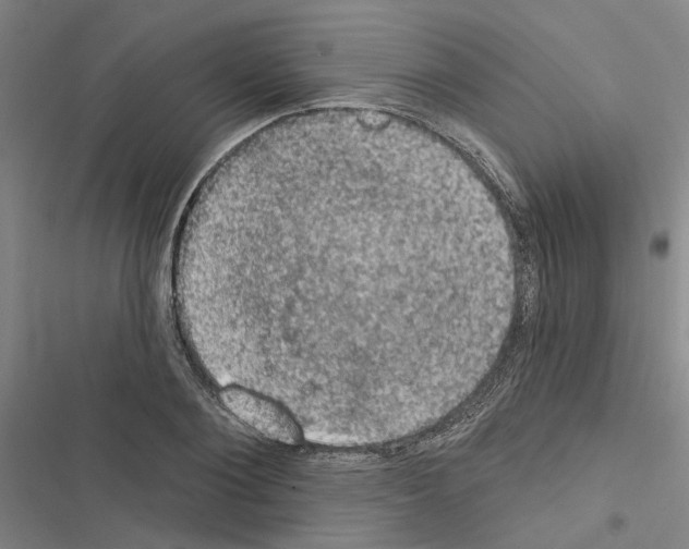 X0000116510884201001201443