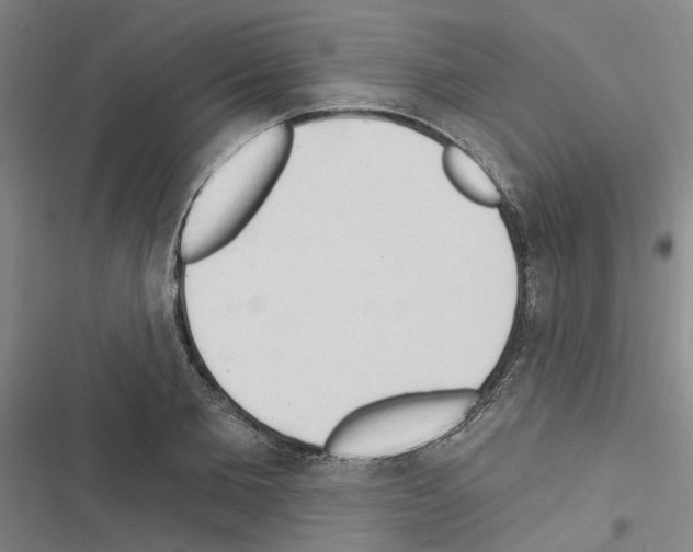 X0000116510885201001201443