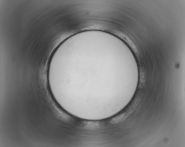 X0000116510890201001201443