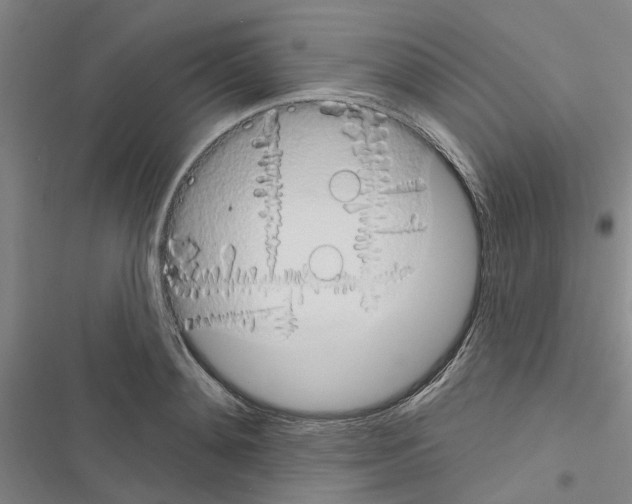 X0000116510892201001201443