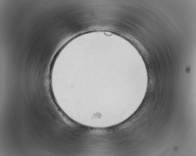 X0000116510894201001201443