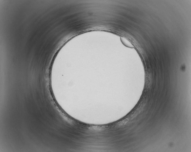 X0000116510898201001201442