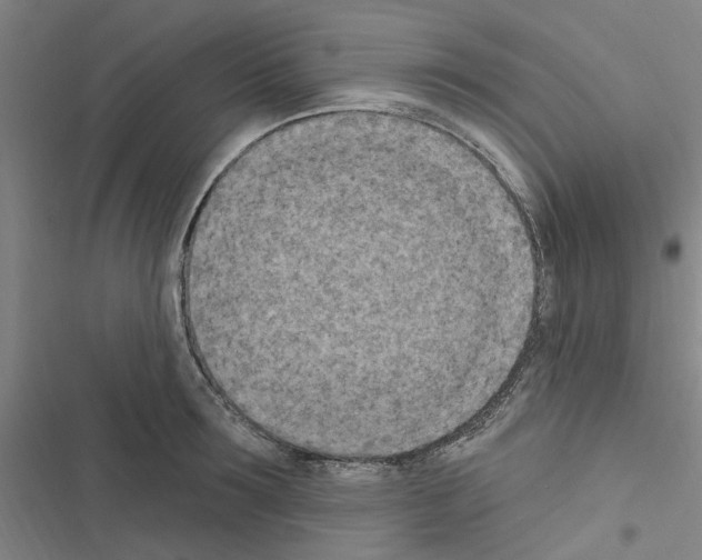 X0000116510899201001201442