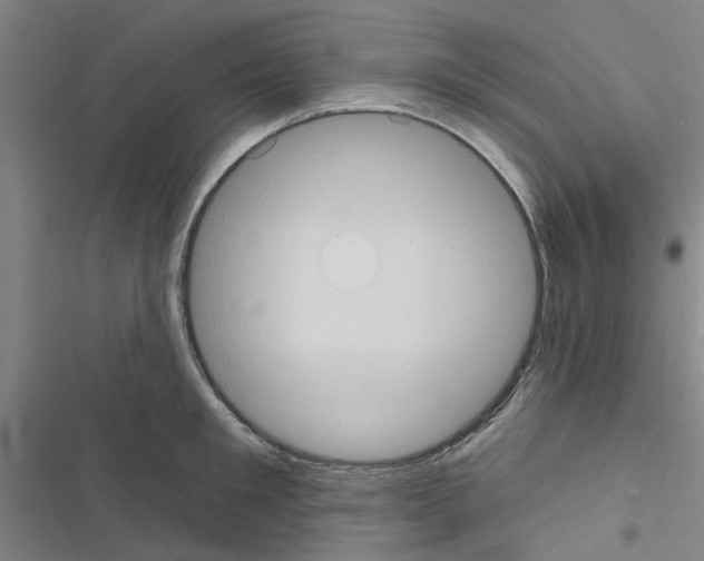X0000116510901201001201442