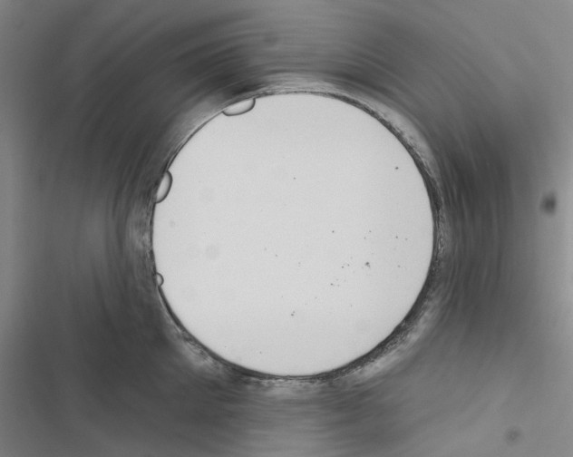 X0000116510905201001201442