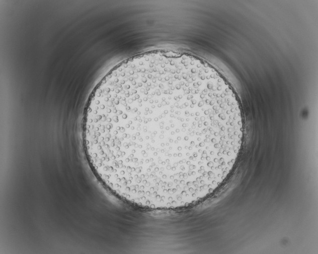 X0000116510906201001201442