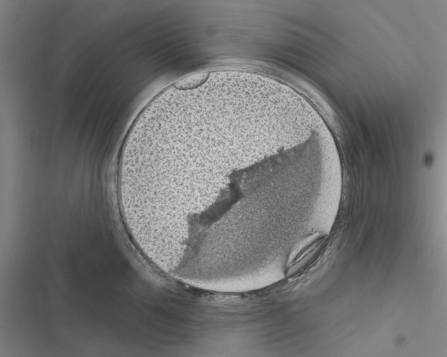 X0000116510907201001201442