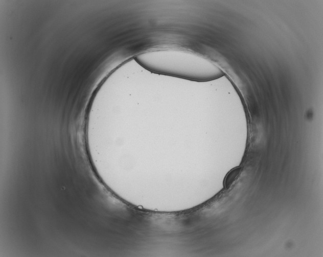 X0000116510909201001201442
