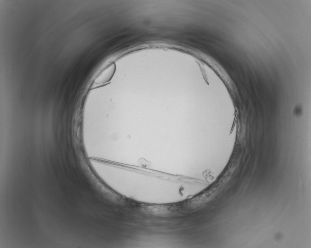 X0000116510911201001201442