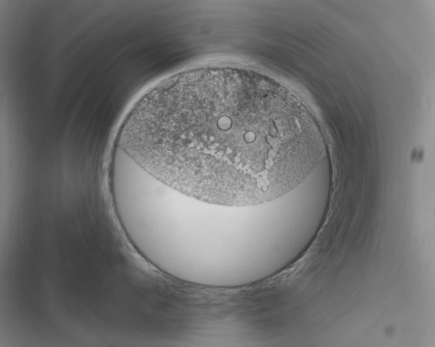 X0000116510912201001201442