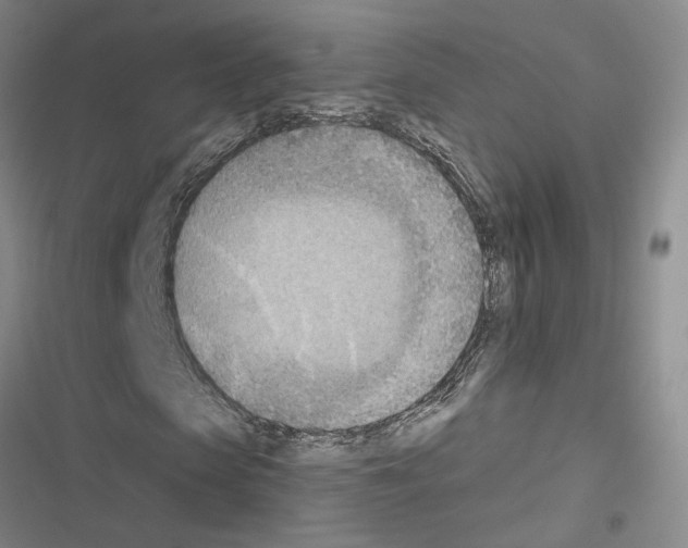 X0000116510913201001201442