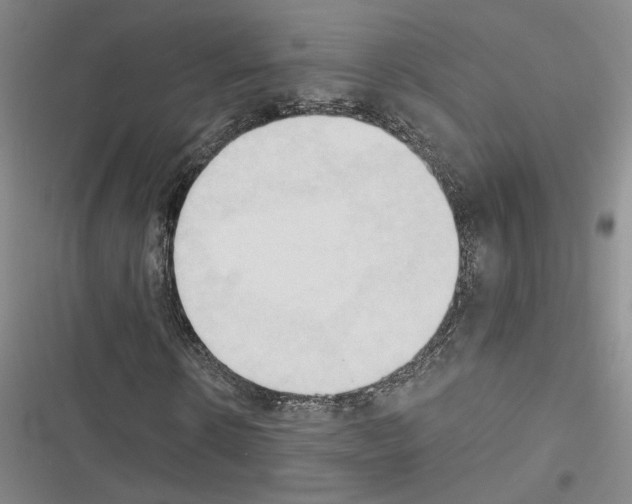 X0000116510914201001201442