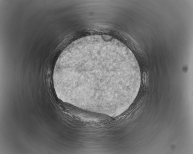 X0000116510915201001201442
