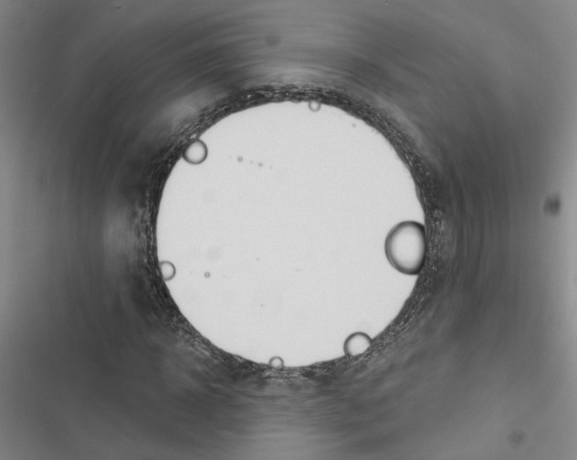 X0000116510918201001201442