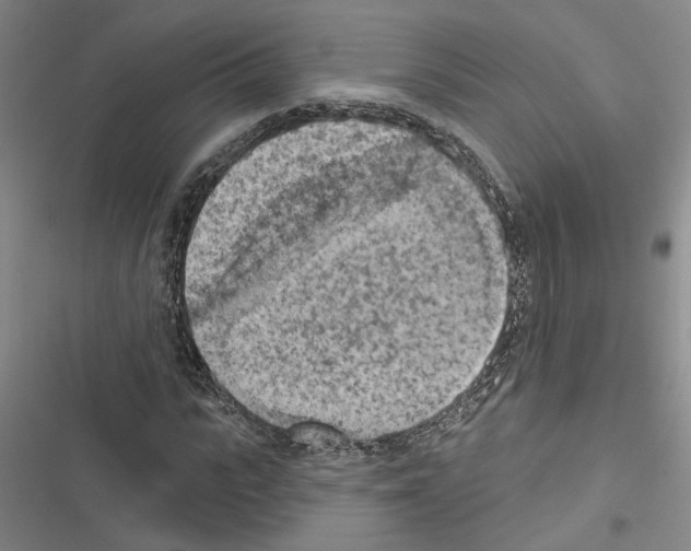 X0000116510919201001201442