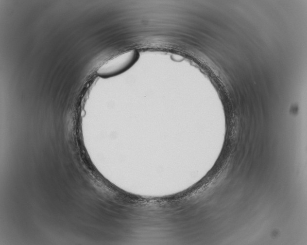X0000116510922201001201442