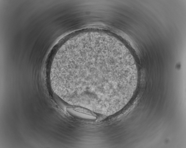 X0000116510923201001201442