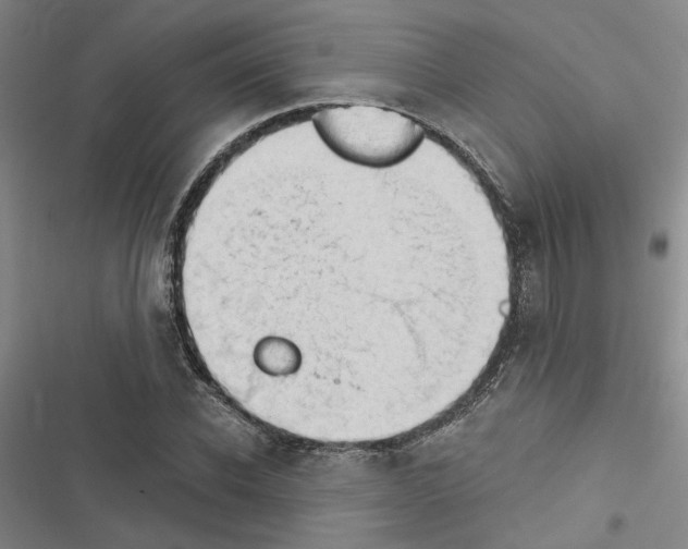 X0000116510926201001201442