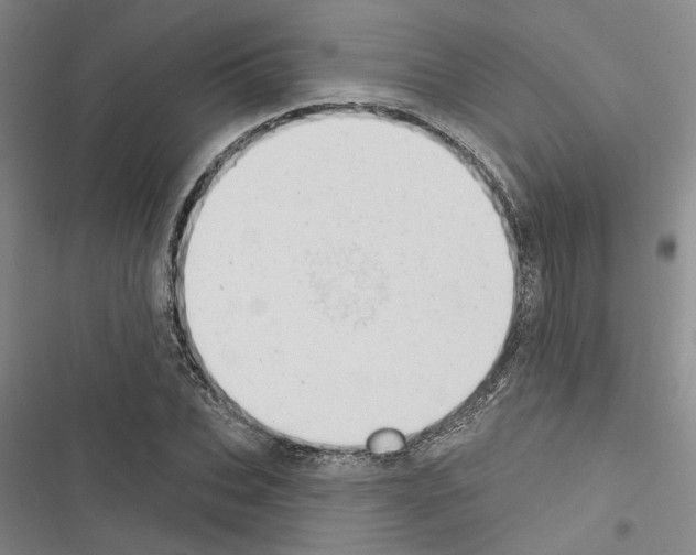 X0000116510927201001201442