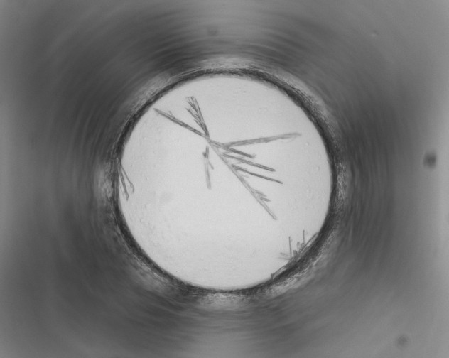 X0000116510929201001201442