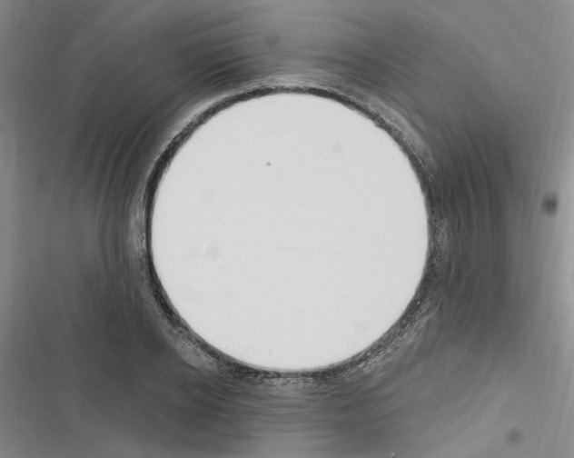 X0000116510934201001201442
