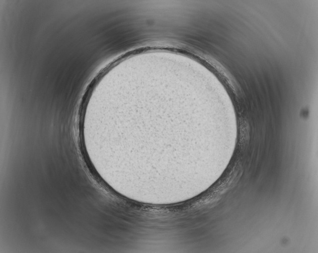 X0000116510935201001201442