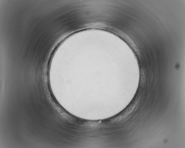 X0000116510939201001201442