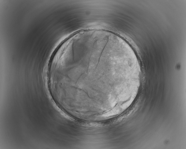 X0000116510941201001201442