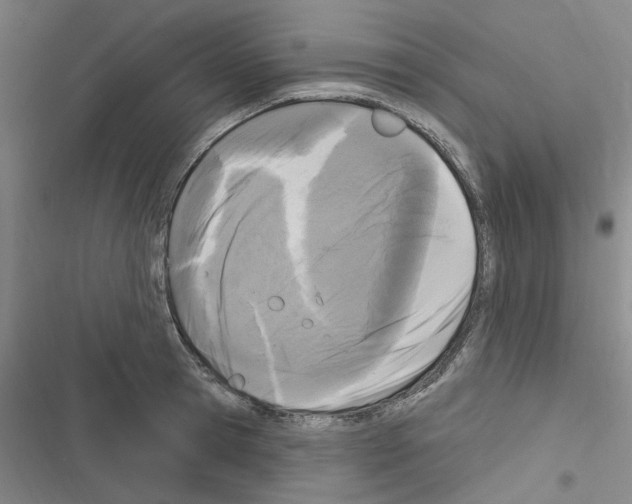 X0000116510945201001201442