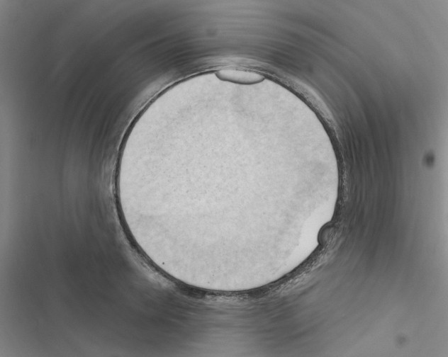 X0000116510946201001201442