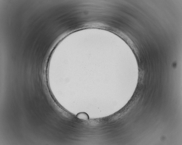 X0000116510947201001201442