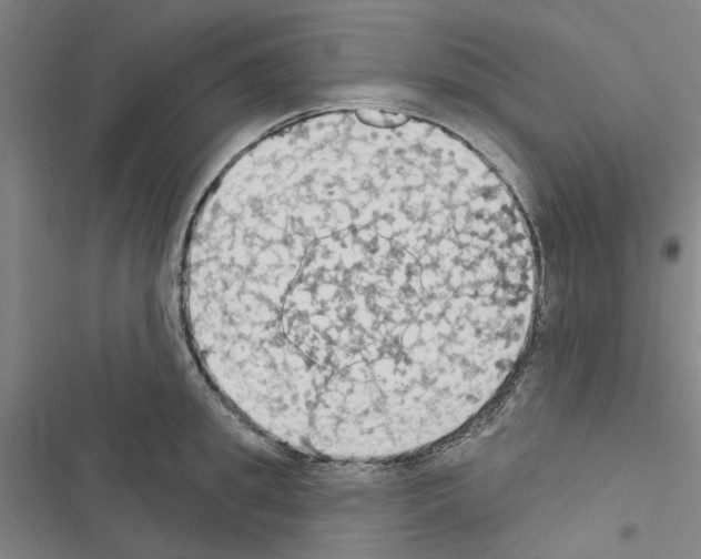 X0000116510949201001201442