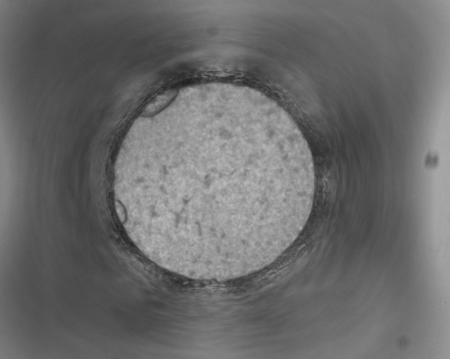 X0000116510961201001201442