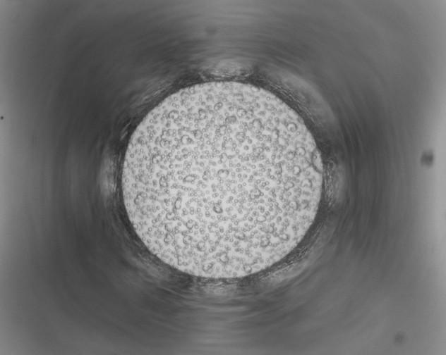 X0000116510962201001201442