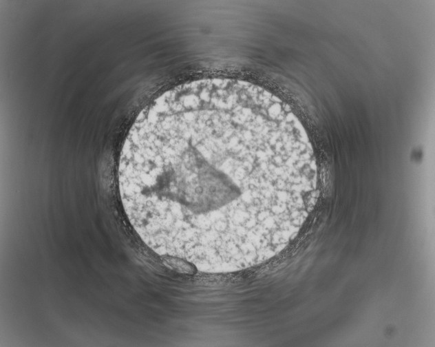 X0000116510963201001201442