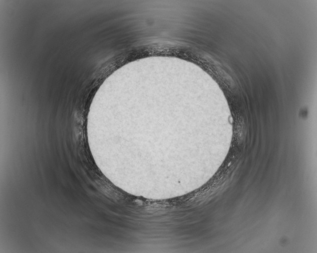 X0000116510964201001201442