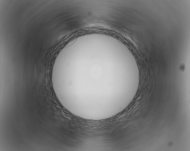 X0000116510965201001201442