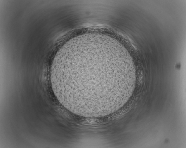 X0000116510966201001201442
