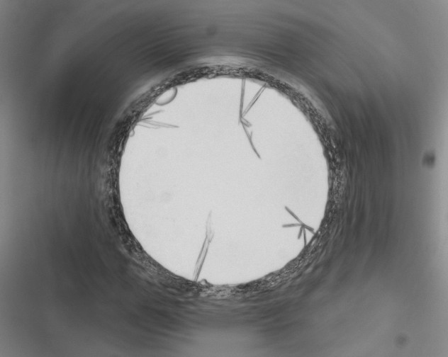 X0000116510967201001201442