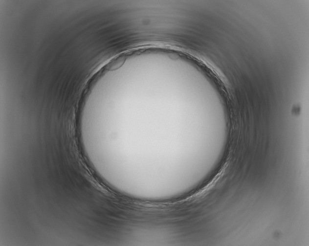 X0000116510969201001201442