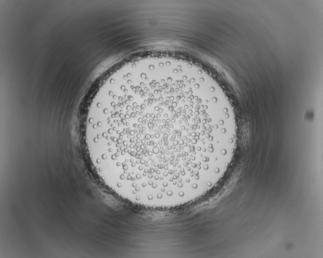 X0000116510970201001201442