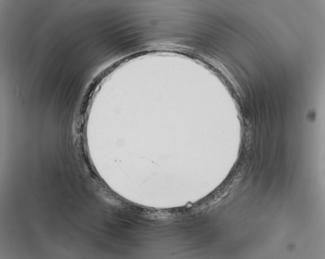 X0000116510971201001201441