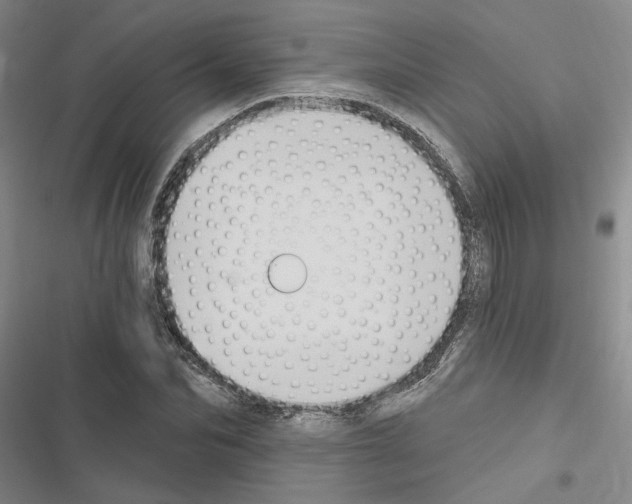 X0000116510974201001201441