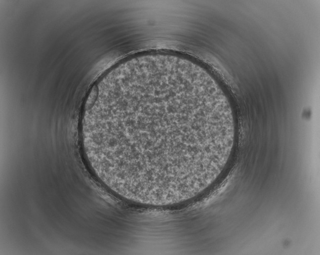 X0000116510977201001201441