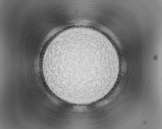 X0000116510978201001201441